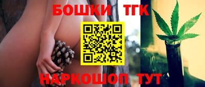 СК Партизанск